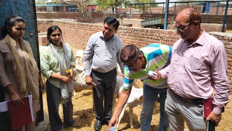 Combined Foot and Mouth Disease Vaccine Provides Relief to Animals from Repeated Vaccinations: Dr. Sehrawat