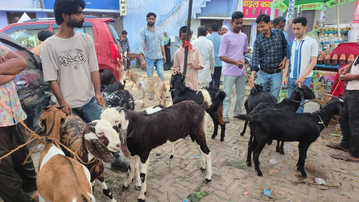 Goat market gains momentum ahead of Bakrid