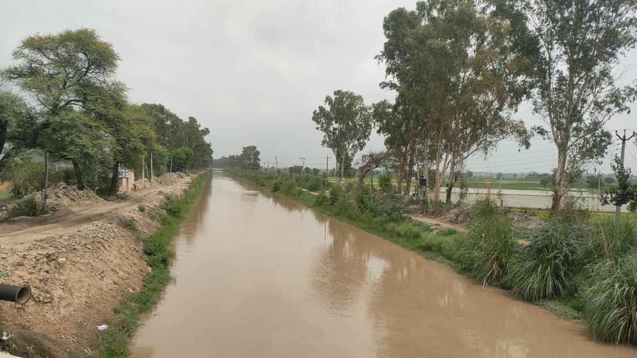 Farmers owe Rs 1 crore as fine for canal water theft