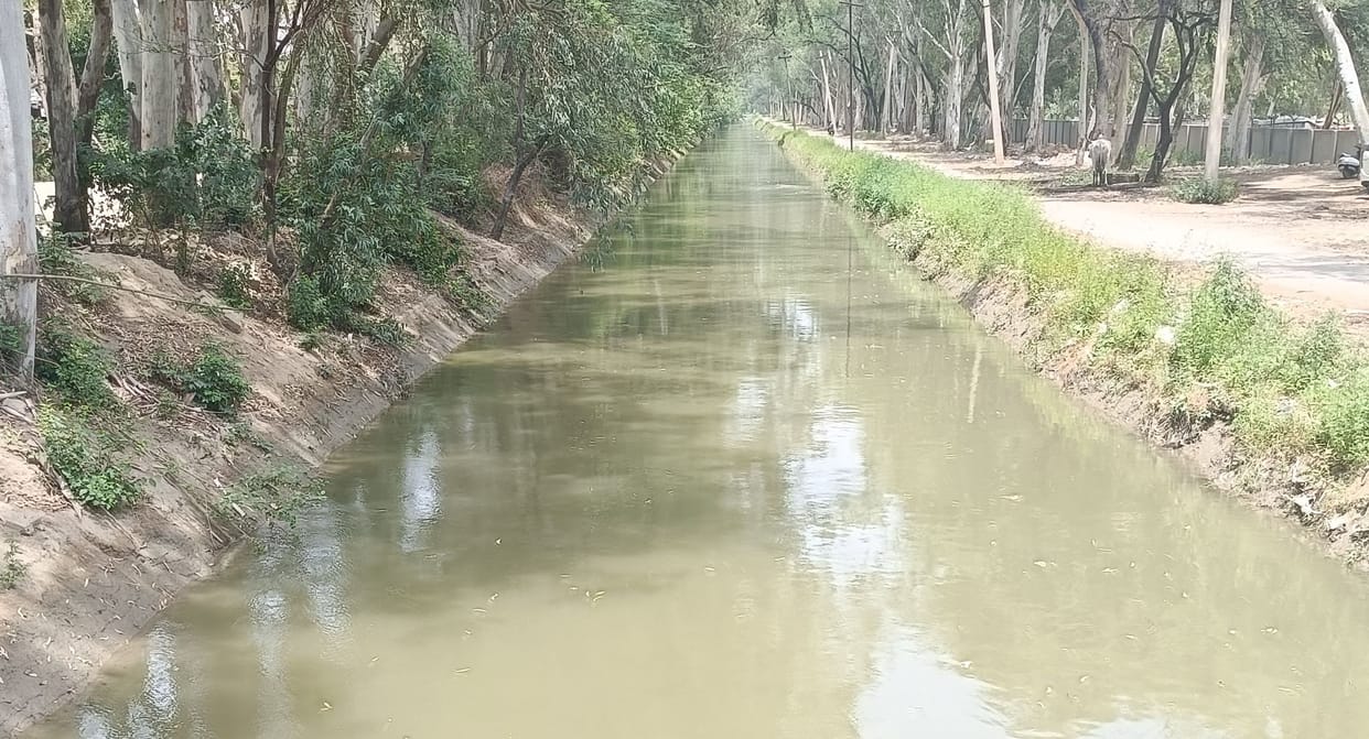 343 cusecs of water reached the Jui feeder, providing support to dry water tank reservoirs.