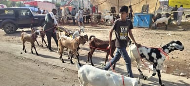 People engaged in shopping for Bakrid