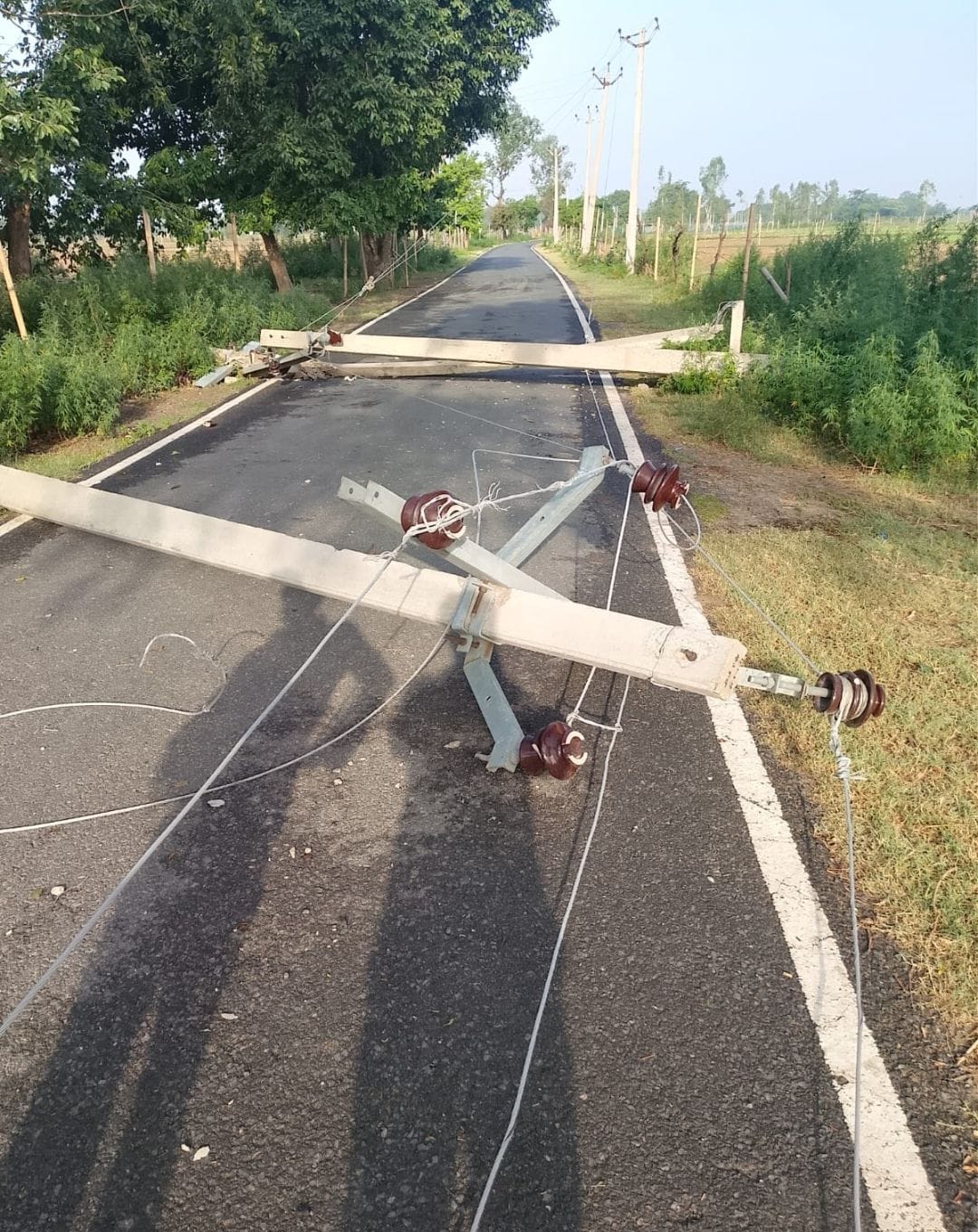 350 Poles Toppled in Fierce Storm... Power Supply Disrupted as Lines Sustain Damage