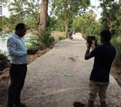 spate of bat deaths due to heatstroke continues