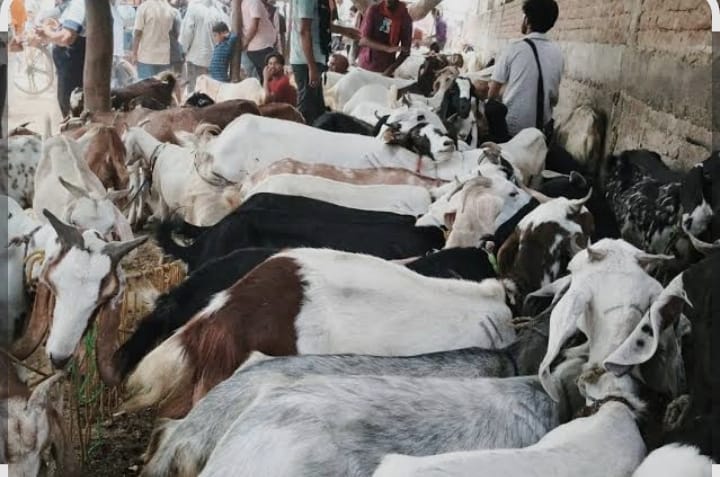 Bakrid prayers today, preparations complete in Eidgahs and mosques