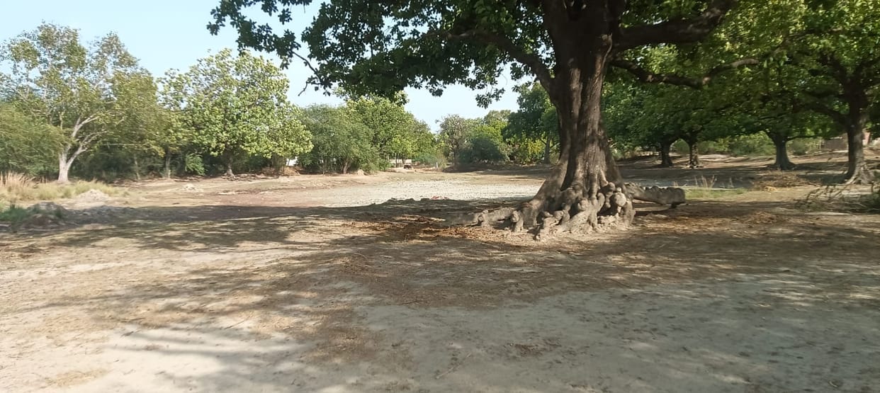 Construction and renovation work of nine ponds will be done with Rs 2.54 crore.