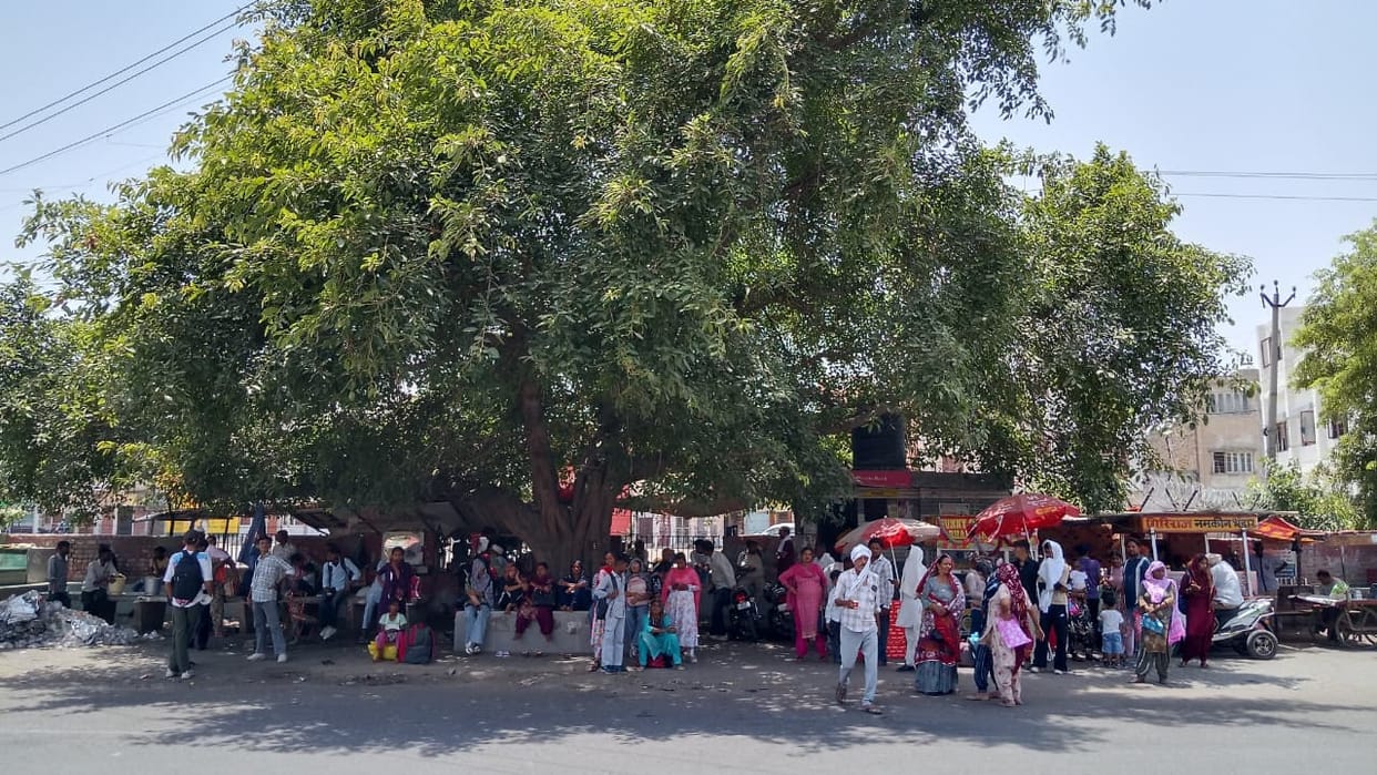 Scorching roads, helpless travelers... Life yearning for shade at the old bus stand, when there is no bus shelter, passengers wait in the shade of a tree