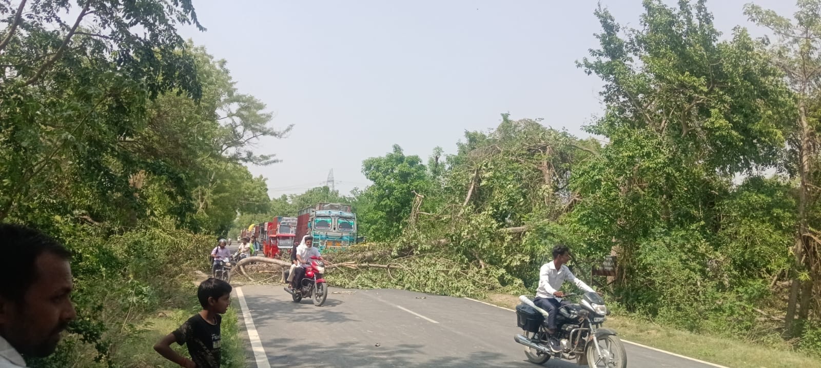 पेड़ गिरने से बंद रहा यातायात।