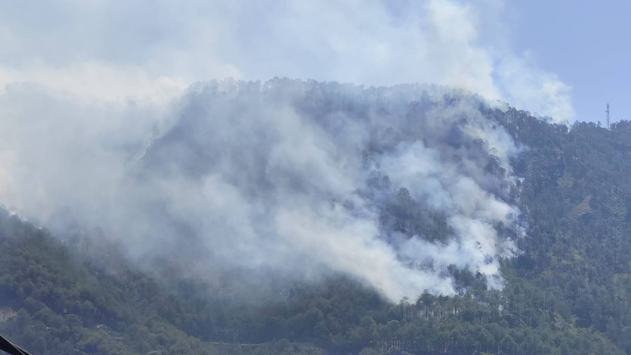 Fire broke out in the forest of Shamlech, burning several acres of forest wealth to ashes.