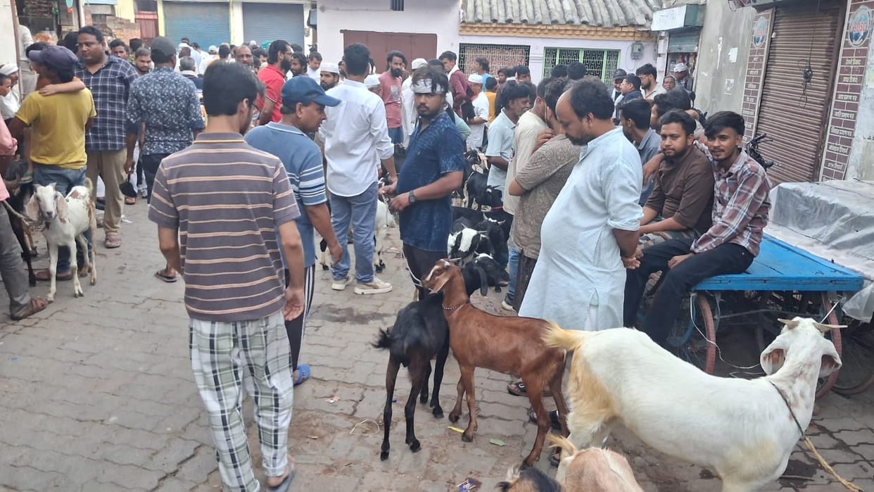 Bakrid: Sultan Steals the Show; Jamunapari Pairs Also Strut Their Stuff at the Market