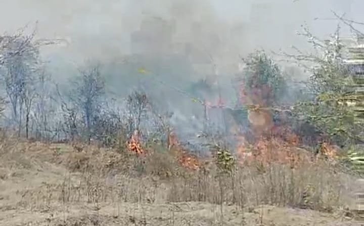 A forest fire broke out in Basaria, burning many trees and bushes.
