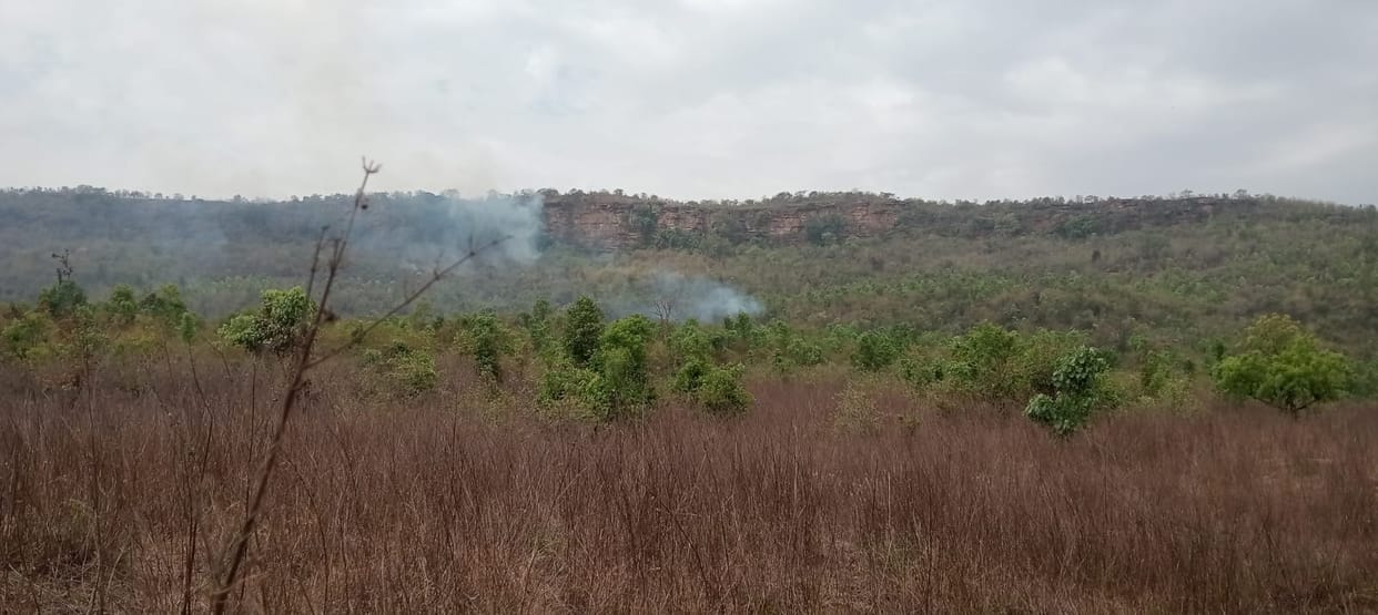 A fire has been raging for three days across 15 hectares of the Murtihwa forest.