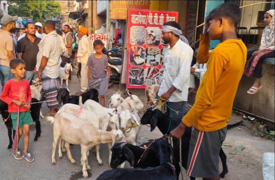 A goat for sacrifice on Bakrid was sold for 80,000 rupees.