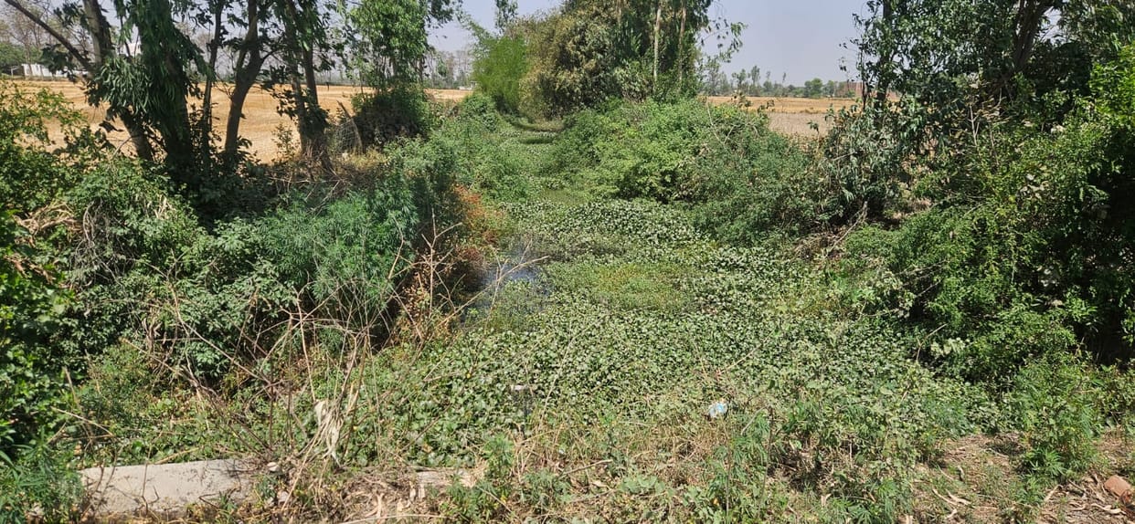 50 Villages Face Risk of Waterlogging Due to Uncleaned Drains