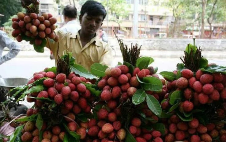 Litchi prices rise due to reduced production and arrivals