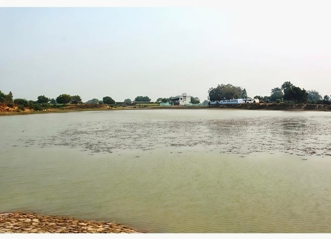 Ban on encroachment and pollution within 50 meters of declared wetland ponds