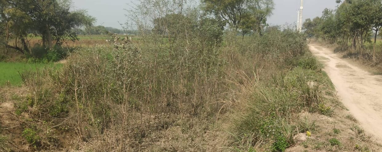 Farmers are troubled by water shortage, dust is rising from the canal.