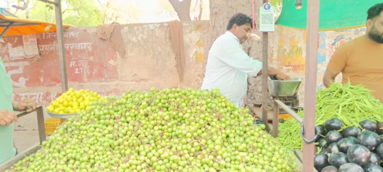 Increased Demand for Lesua in the Market; Buying Picks Up