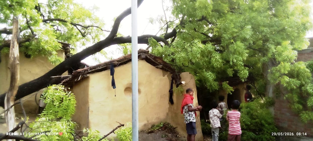 Storm and Rain Topple Poles and Trees; Power Outage in 200 Villages