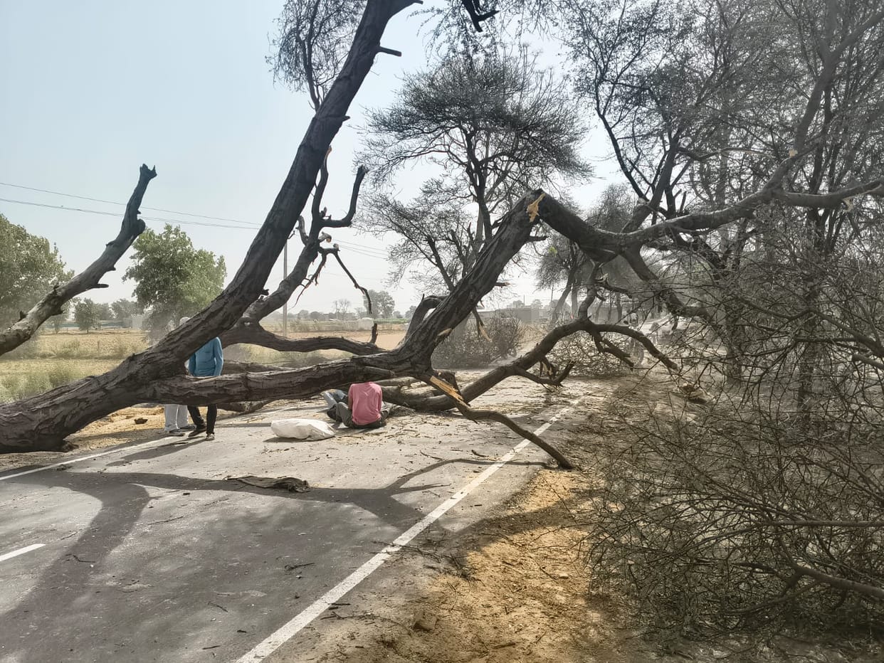 734 poles broken, 62 transformers and 300 trees downed.