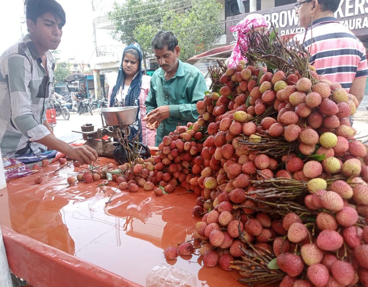 Fruit prices rise, expensive litchi reduces sweetness