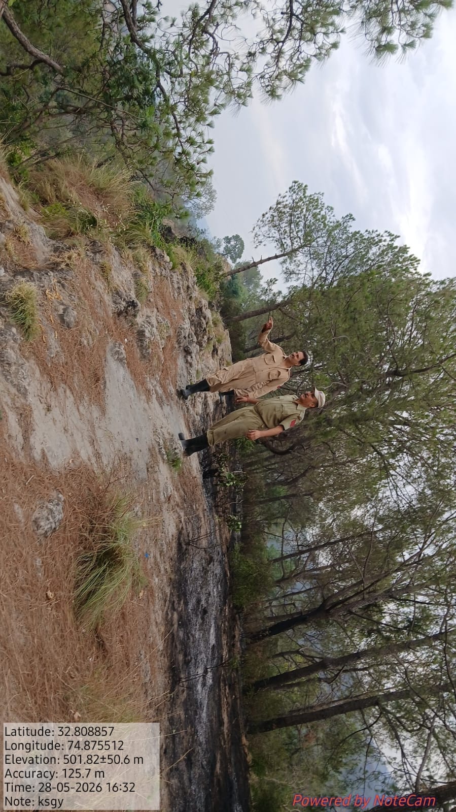 fire, jagati, forest area
