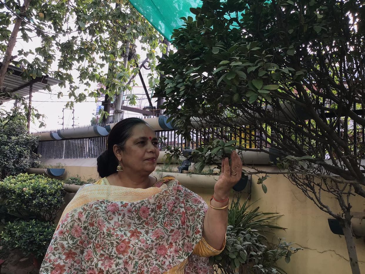 With 25 years of dedication, Vandana transformed her home into a garden.