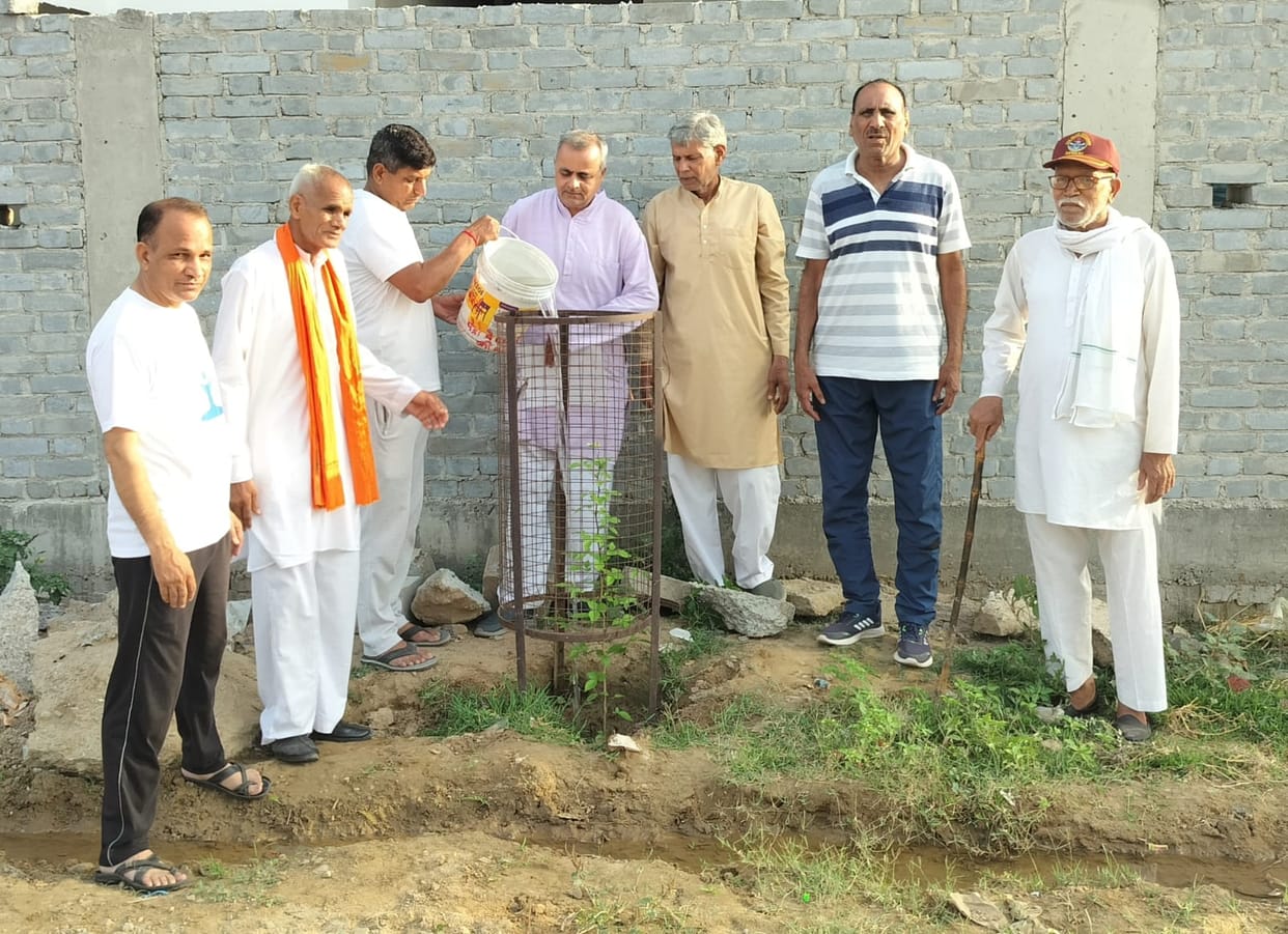 Along with plantation, emphasis is also being given on conservation of plants.