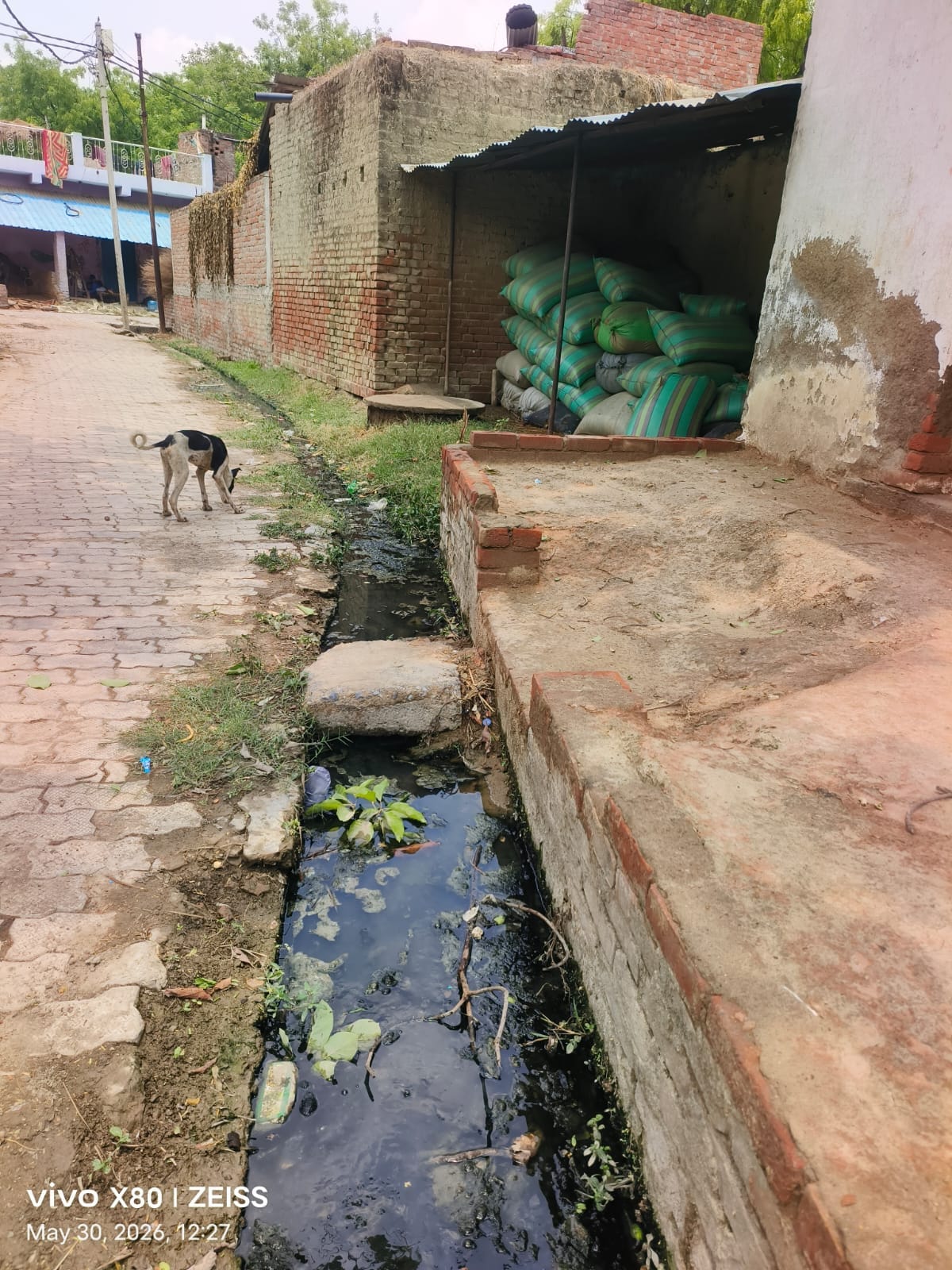 Drains clogged before monsoon, polluted water spreading
