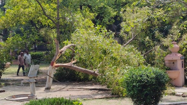More than 15 trees fell in the city including the cantonment area, blocking roads.