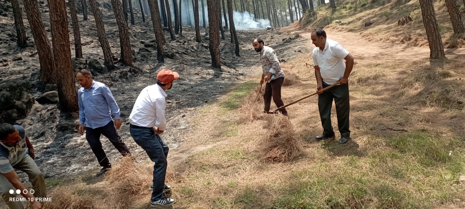 भीषण वन अग्निकांड से राजोरी के सवानी, चटयाड़ और आसपास के क्षेत्रों में भारी नुकसान फोटो स्रोत लो