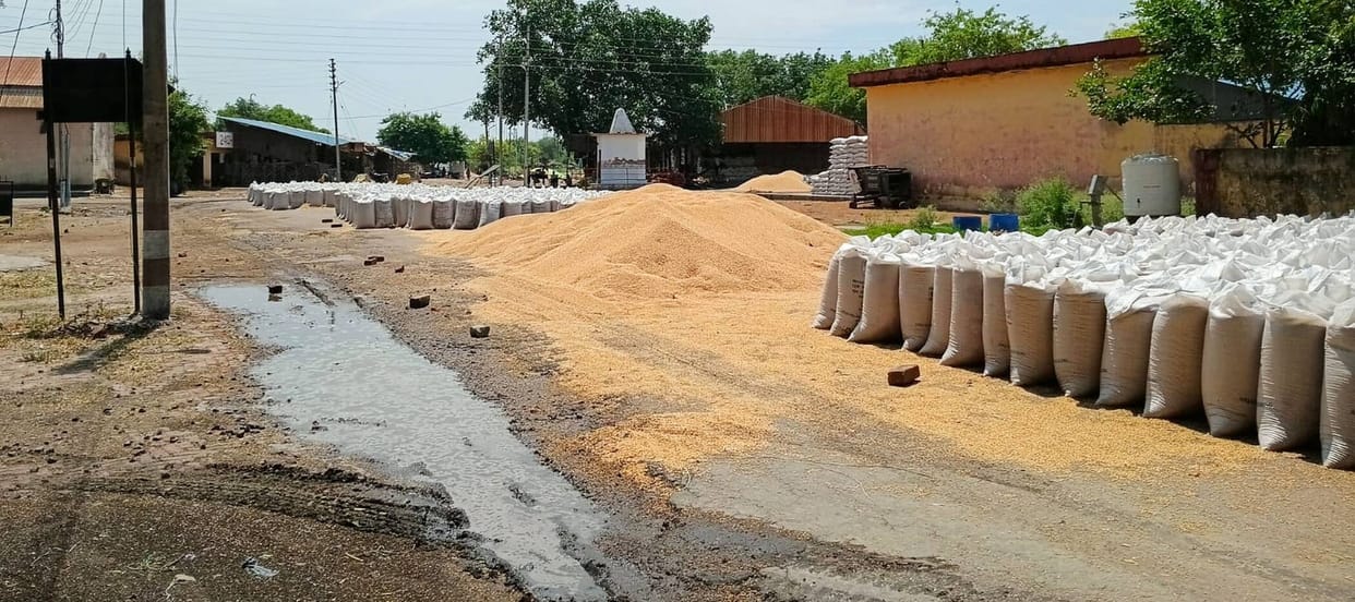 Rain brings relief from the heat of Nautapa