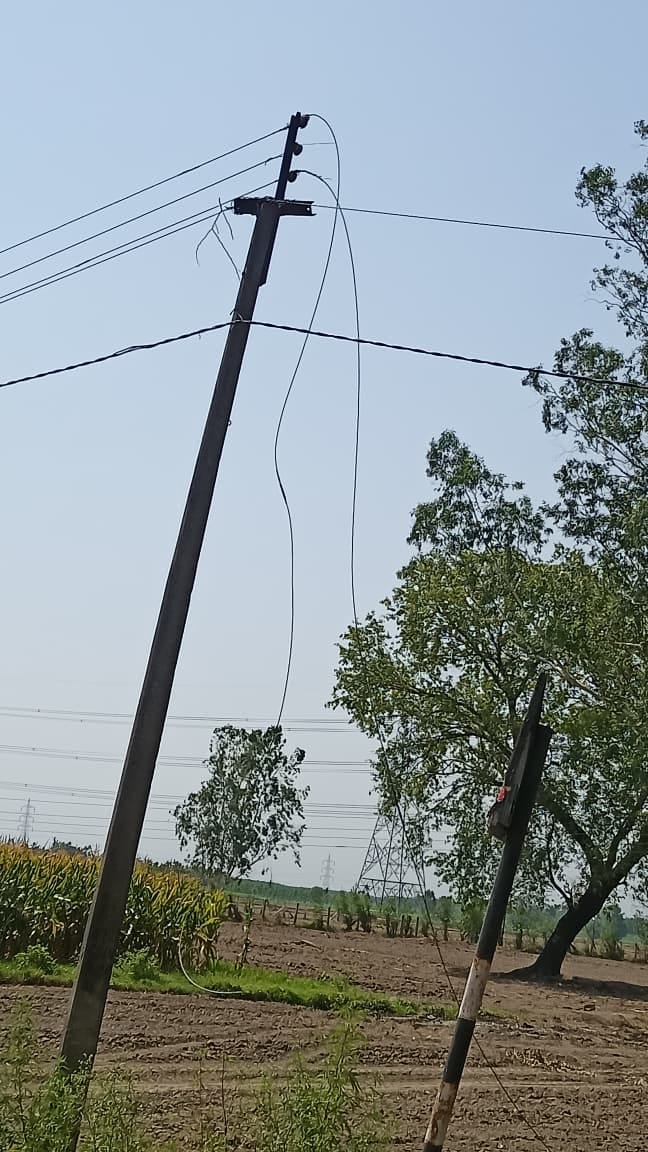 Storm Uproots 110 Trees; Power Supply Disrupted as 21 Poles Snap