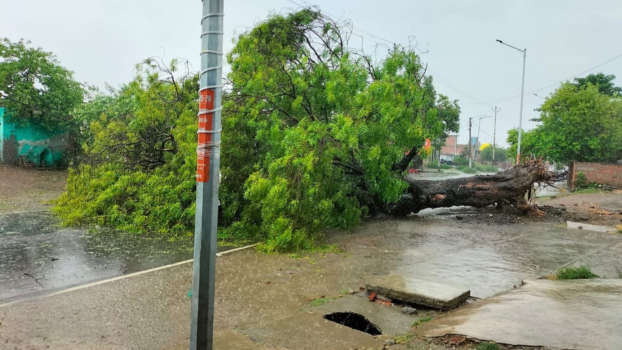 Storm and rain wreak havoc, trees fall and roads are submerged