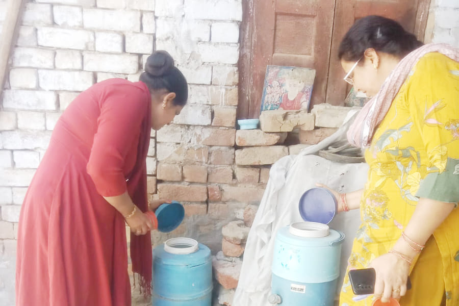 Larvae were found in 13 houses in May, and notices were issued.
