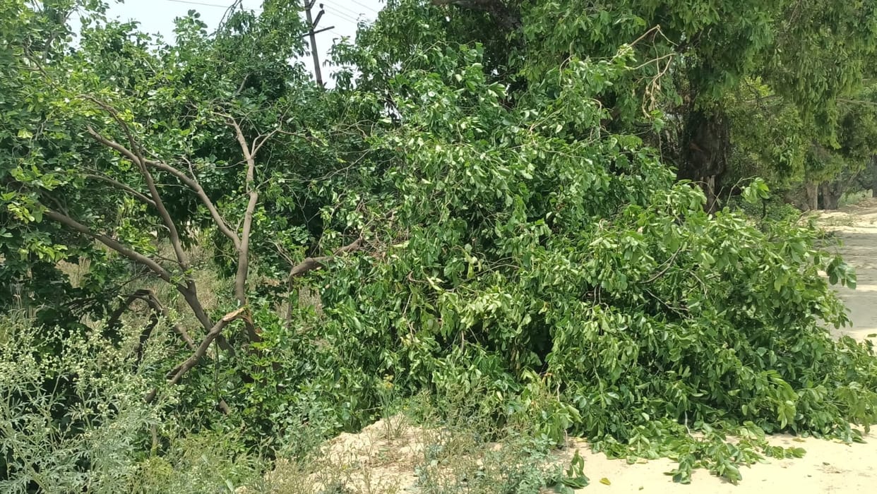 The power supply was disrupted after a midnight storm in the district caused the breakdown of electric poles and wires.
