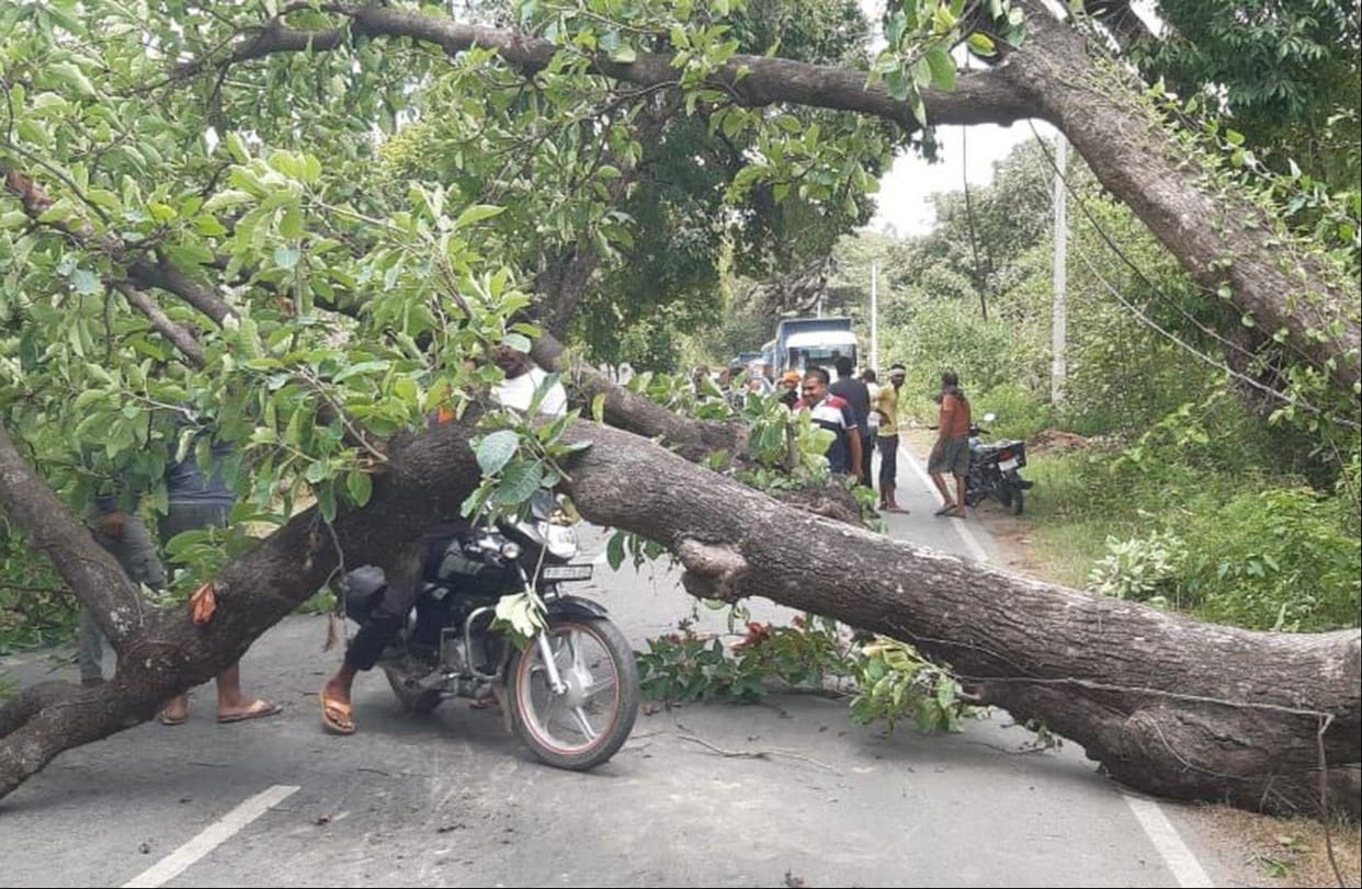 A tin shed collapsed in a storm, killing a mother and injuring her daughter.