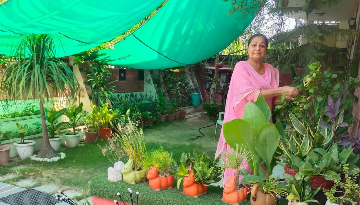 Dr. Vinay's garden is full of greenery with 300 plants everywhere.