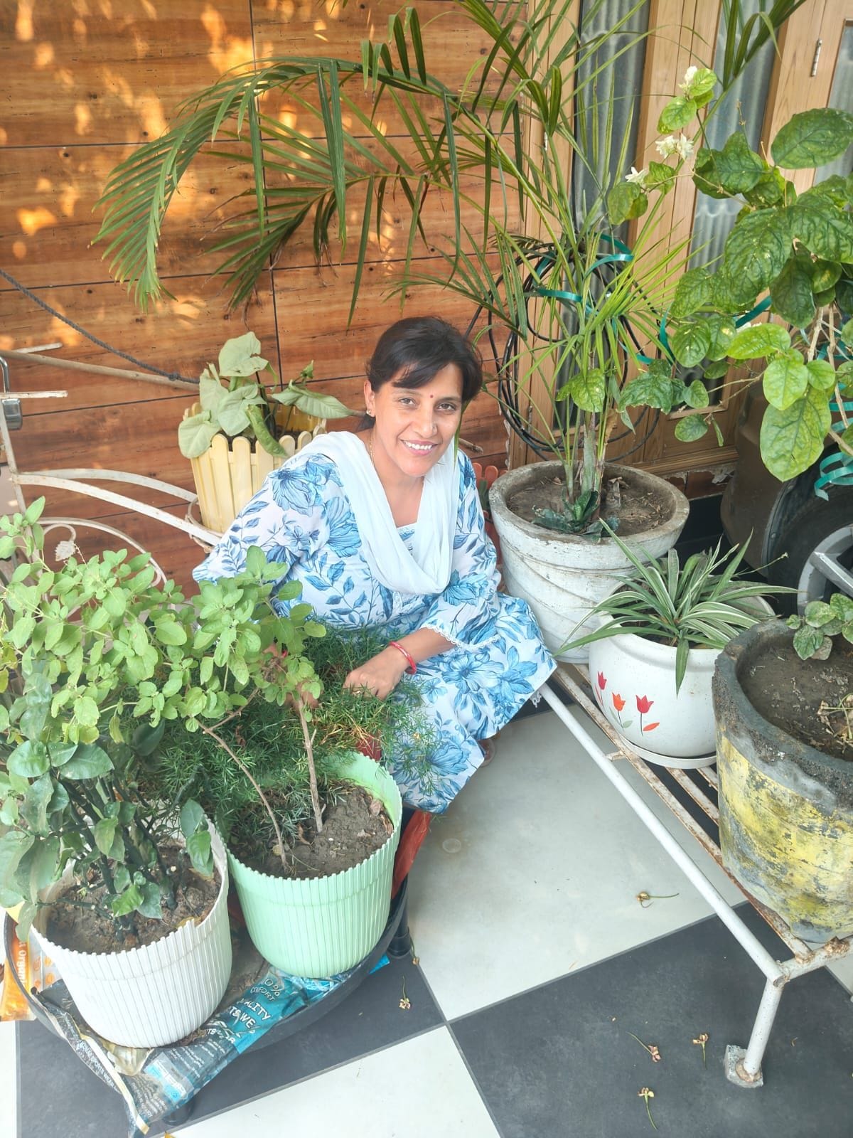 Neelam has transformed her home into a lush green paradise, with the plants exuding a fragrant aroma.