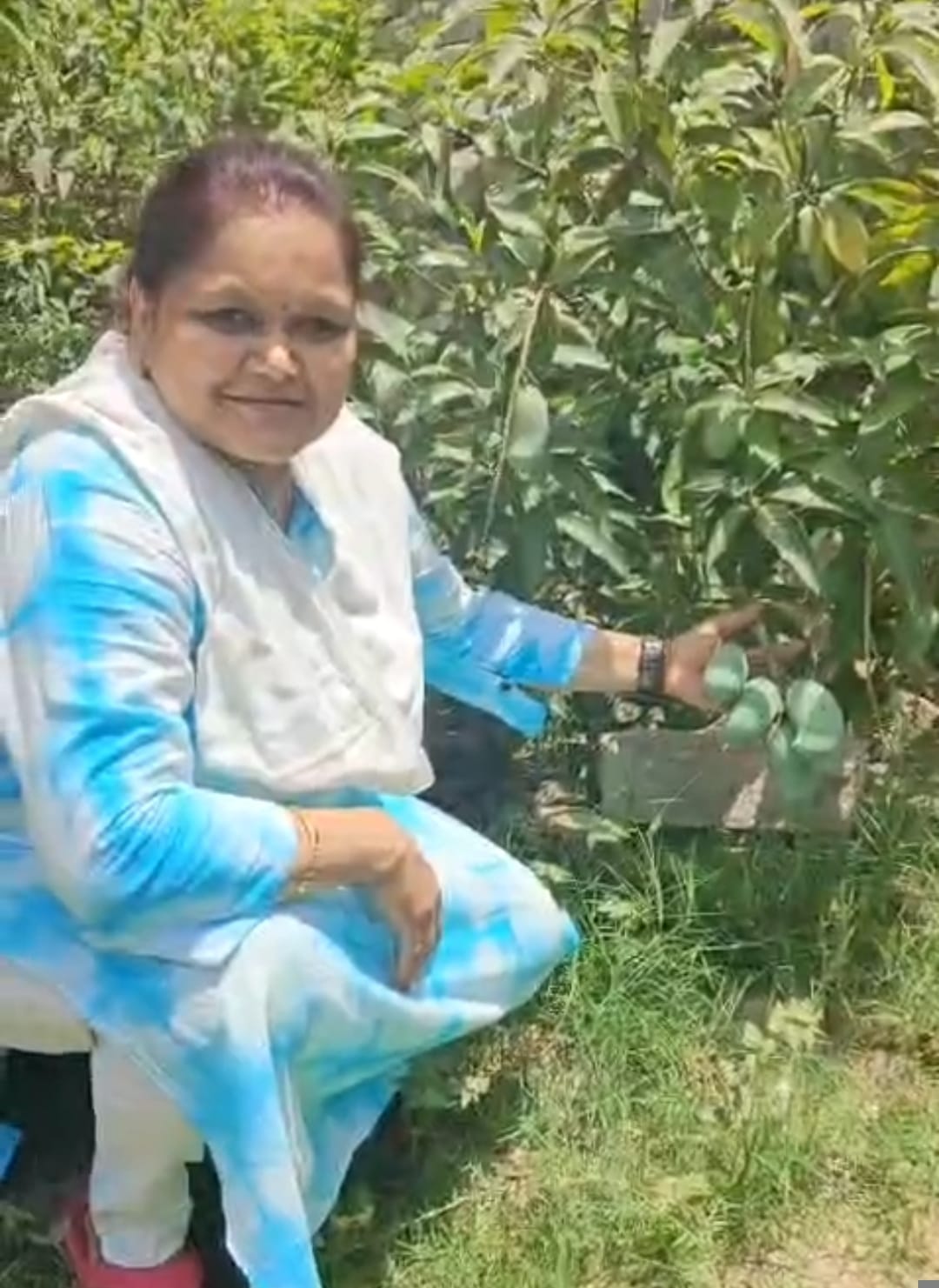 खूंटी में बिरसा हरित क्रांति योजना से किसानों की आय बढ़ी