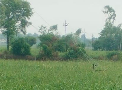 33 KV line fails due to storm and rain, power crisis in the entire district