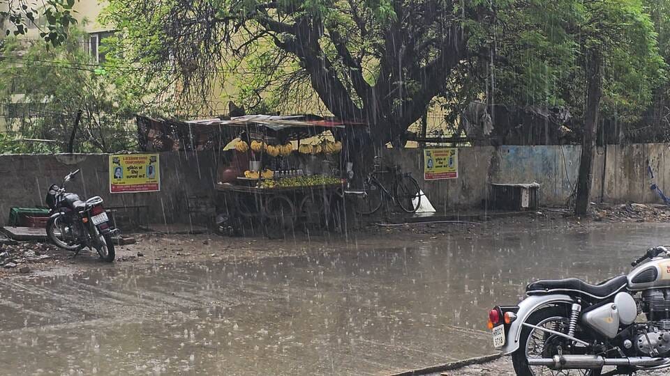 Farmers in the Chhachhrauli region are delighted by the heavy rainfall