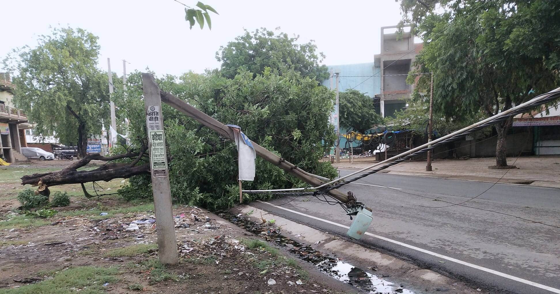 फोटो-17-फोटो-हरदोई-उन्नाव मार्ग पर विद्युत लाइन के ऊपर गिरा पड़ा पेड़। संवाद