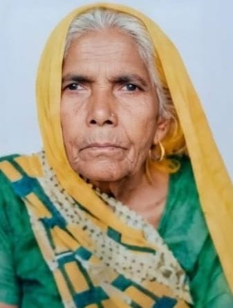 Elderly Woman Dies in Bull Attack