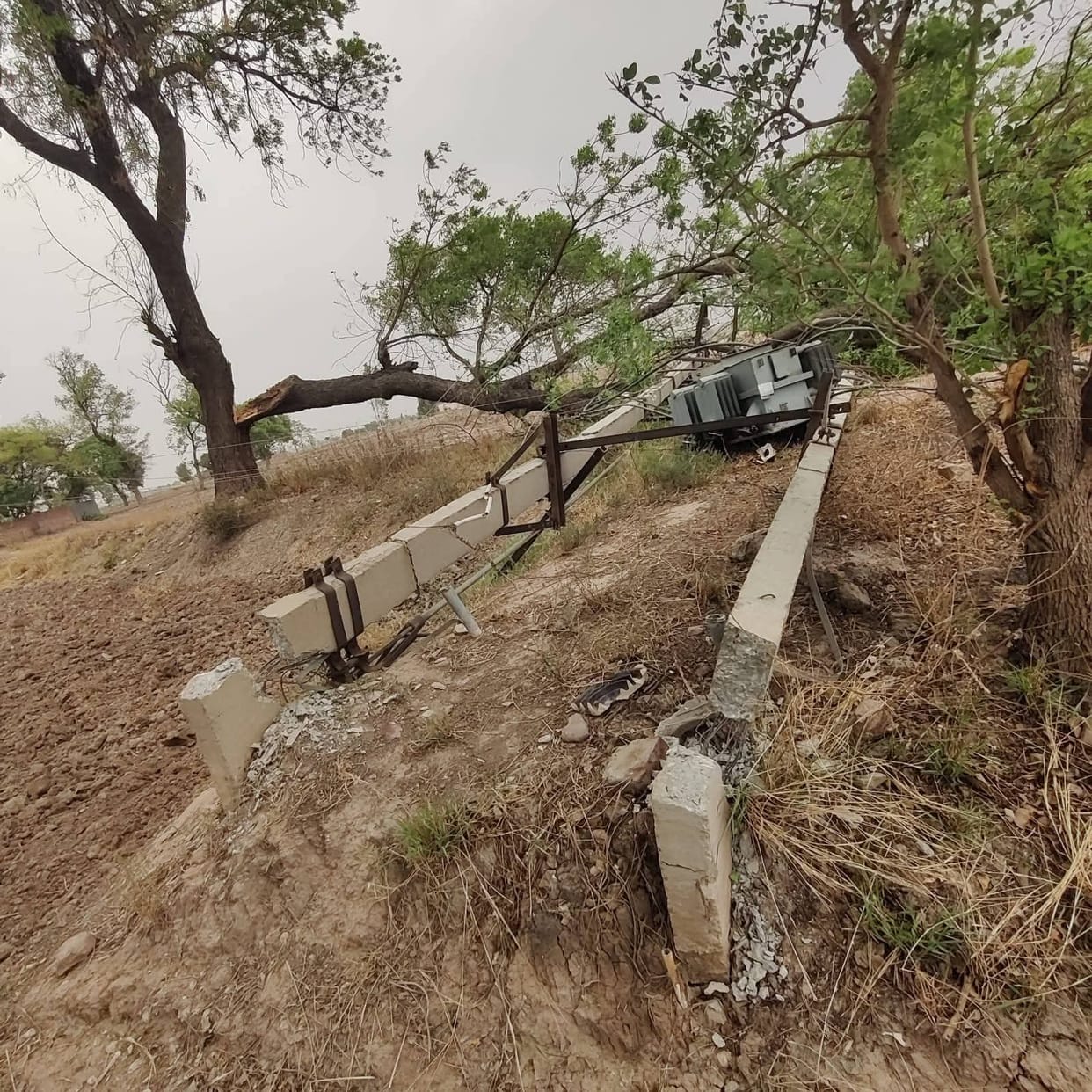 Rainfall caused temperatures to drop by 10 degrees in five days, and storms damaged 500 electricity poles