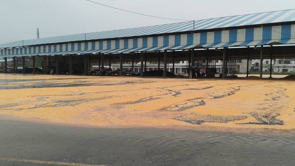 Rain brings relief from heat but farmers suffer losses