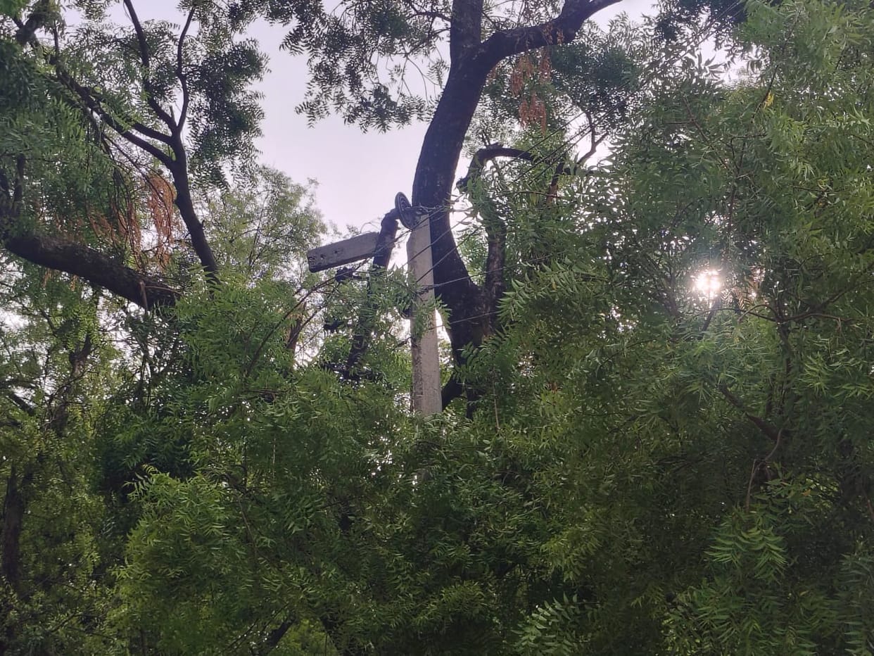 25 poles were broken in the storm, electricity was out all night.