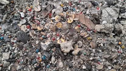 Robbery and Shooting Case Key Clues Found in the Forest in GPM