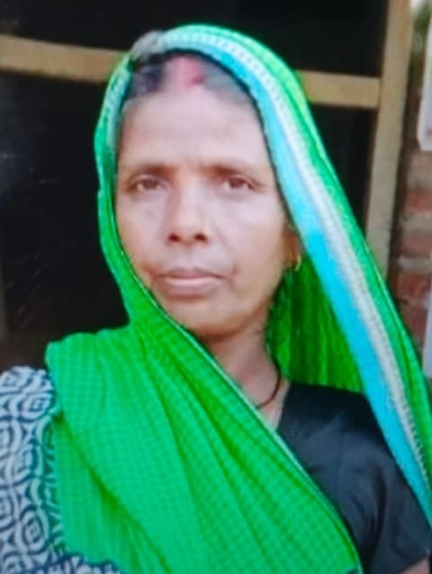 Woman returning from a dip in the Ganges dies in an accident.