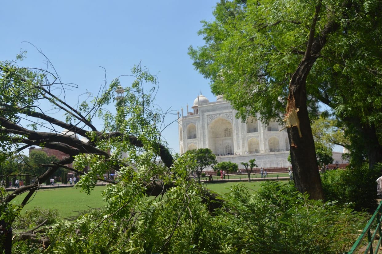 Storm uproots 12 trees at Taj Mahal, wall collapses at Panchkuiyan