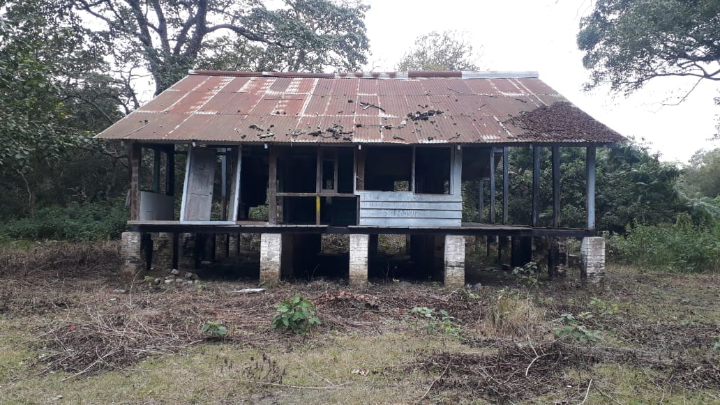 Once the pride of the forest... now the existence of the wooden bungalow is also in danger.